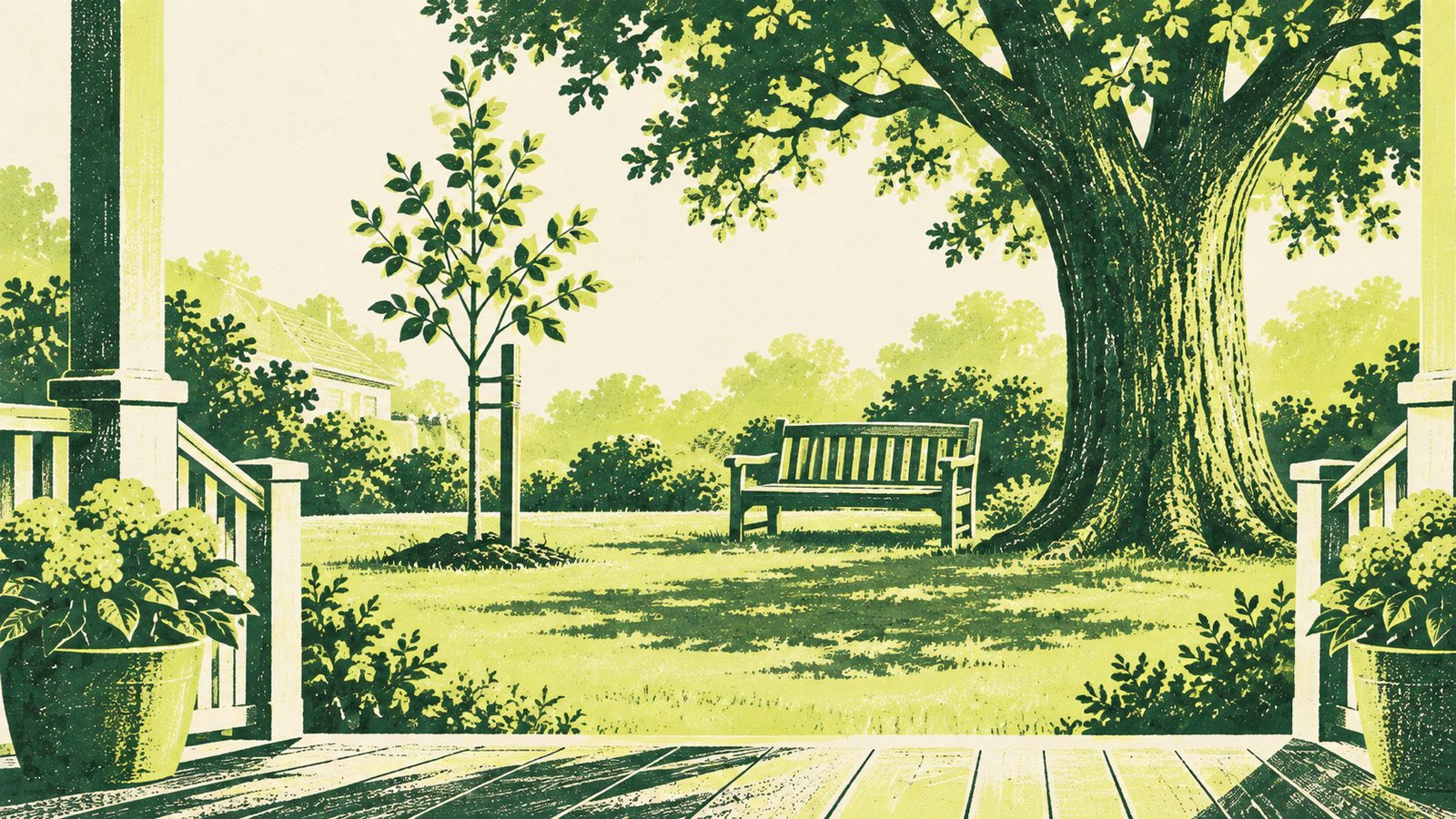 Illustration of a young staked sapling growing beside a tall old oak tree